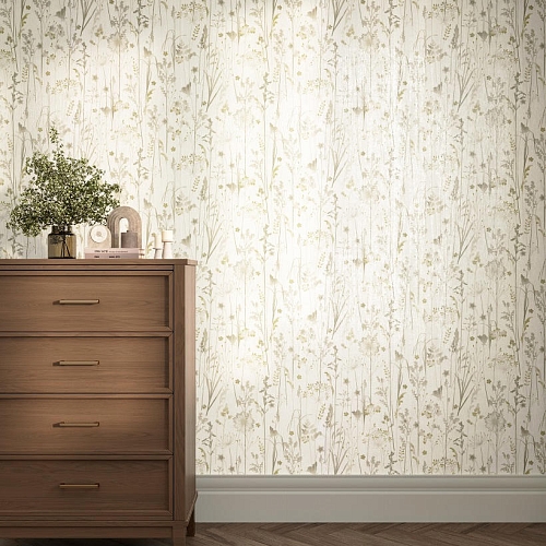 Платан Платан