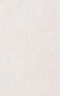 Сорбонна бежевый матовый 25x40x0,8