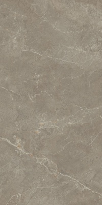 Бриансон бежевый тёмный матовый обрезной 80x160x0,9