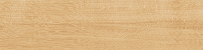 Аргания бежевый матовый 9,9x40,2x0,8