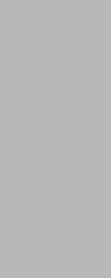 Городские цветы серый матовый 20x50x0,8