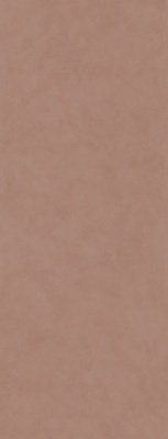 Surface Laboratory/Конкрит коричневый светлый матовый обрезной 119,5x320x1,1