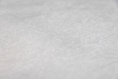 Обои виниловые на флизелиновой основе Ориент база, серый светлый