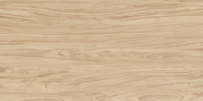 Олива бежевый обрезной 60x119,5x0,9 Олива бежевый обрезной 60x119,5x0,9