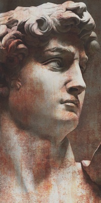 Ковер Давид 1 матовый обрезной 119,5x238,5x1,1