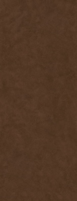 Surface Laboratory/Майолика коричневый обрезной 119,5x320x0,6