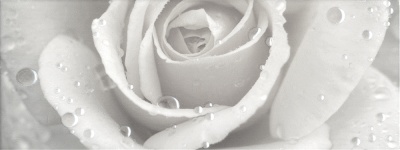 Керамический декор 15x40x0,8 Уайтxолл Роза глянцевый